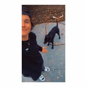 Meet your Posher, Sasha